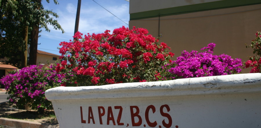La Paz, Baja